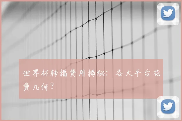 世界杯转播费用揭秘：各大平台花费几何？