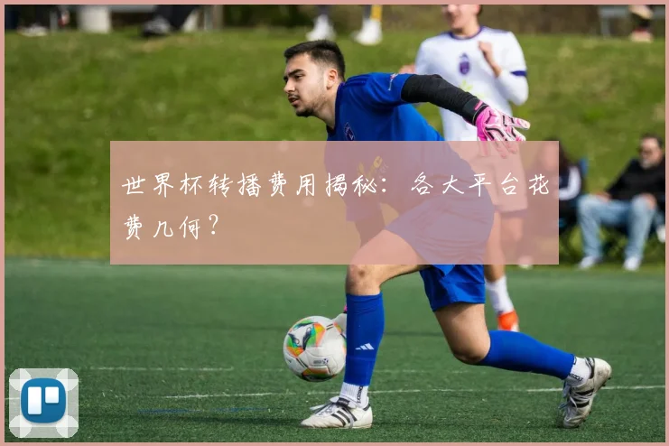 世界杯转播费用揭秘：各大平台花费几何？